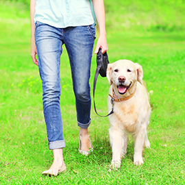 Four Legs are better than Two